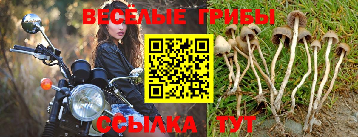 Псилоцибиновые грибы Psilocybe  Галлюциногенные грибы Magic Shrooms  Кисловодск  Вход с VPN 