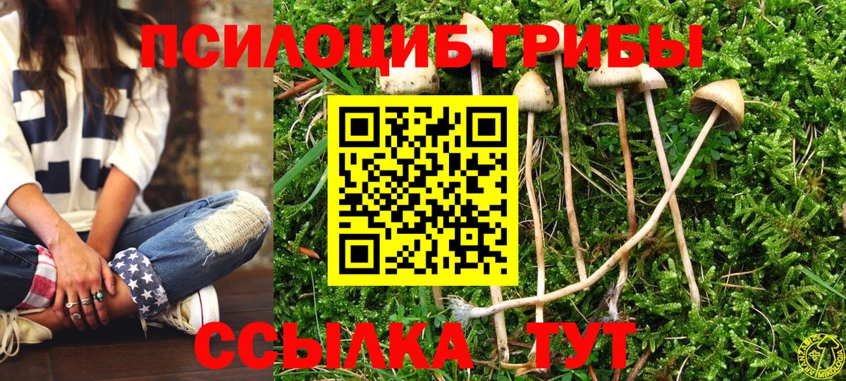 Галлюциногенные грибы GOLDEN TEACHER Кисловодск